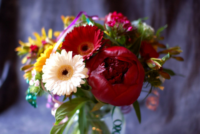 Обои картинки фото цветы, букеты, композиции, герберы, пионы