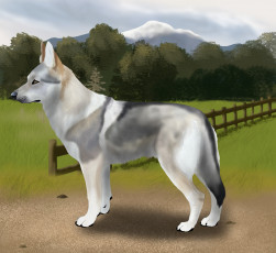 Картинка рисованные животные собаки собака