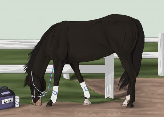 Картинка рисованные животные лошади лошадь