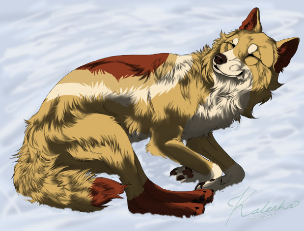 Обои картинки фото рисованные, животные, собаки, собака