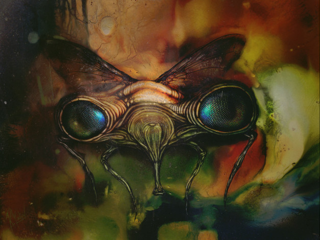 Обои картинки фото фэнтези, существа, муха
