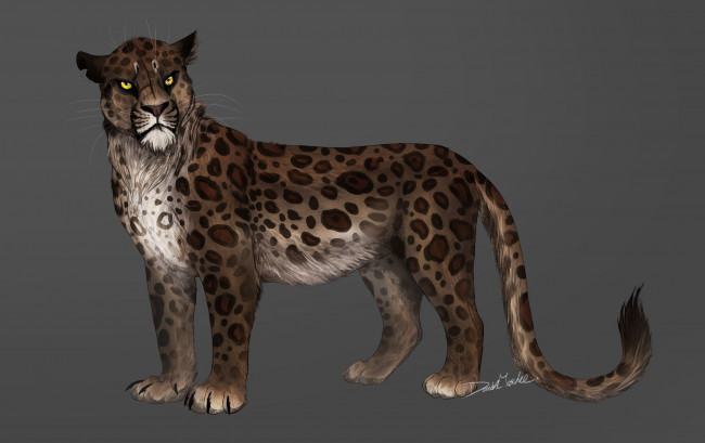 Обои картинки фото рисованные, животные, тигры, тигр