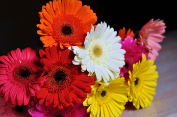 Картинка цветы герберы букет