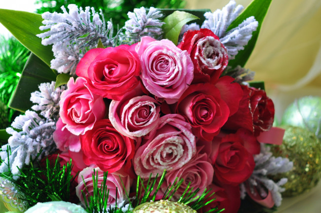 Обои картинки фото цветы, розы, букет