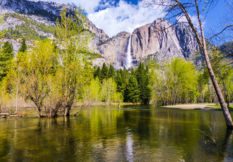 Картинка природа реки озера лес река