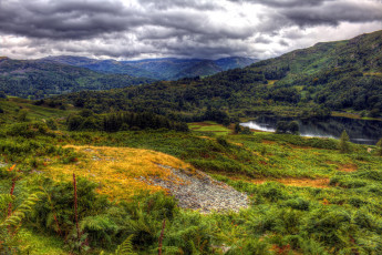 Картинка природа пейзажи река лес