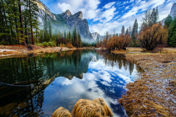 Картинка природа реки озера лес река