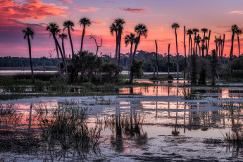 Картинка природа реки озера река лес