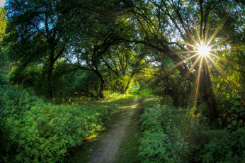 Картинка природа дороги тракт