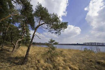 Картинка природа реки озера лес река