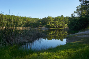 Картинка природа реки озера лес река