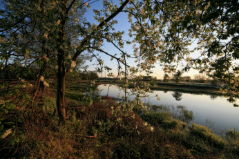 Картинка природа реки озера лес река