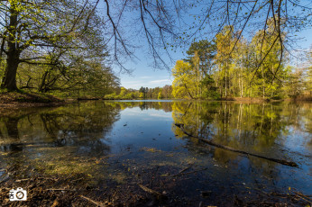 Картинка природа реки озера река лес