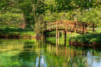 Картинка природа реки озера река лес