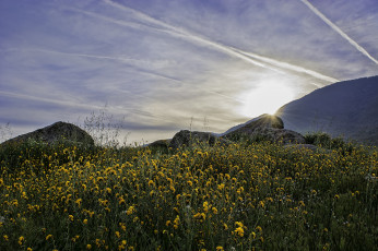 Картинка природа восходы закаты рассвет