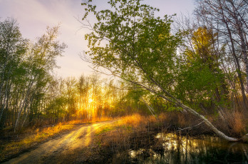 Картинка природа реки озера лес река