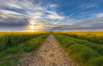 Картинка природа дороги тракт