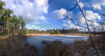 Картинка природа реки озера река лес