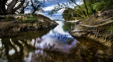 Картинка природа реки озера лес река