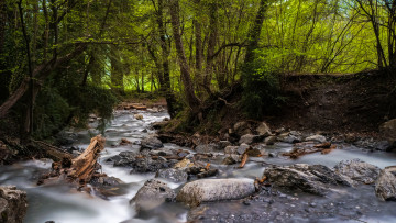 Картинка природа реки озера река лес