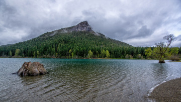 Картинка природа реки озера река лес