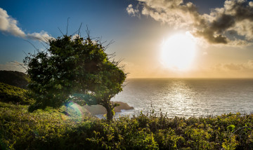 Картинка природа восходы закаты рассвет