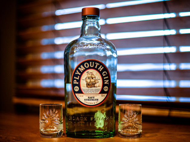 Обои картинки фото бренды, бренды напитков , разное, джин