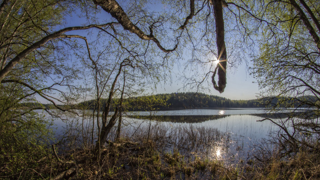 Обои картинки фото природа, реки, озера, лес, река