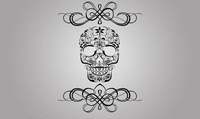 Обои картинки фото рисованное, минимализм, череп, фон