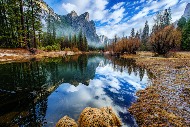 Обои картинки фото природа, реки, озера, лес, река