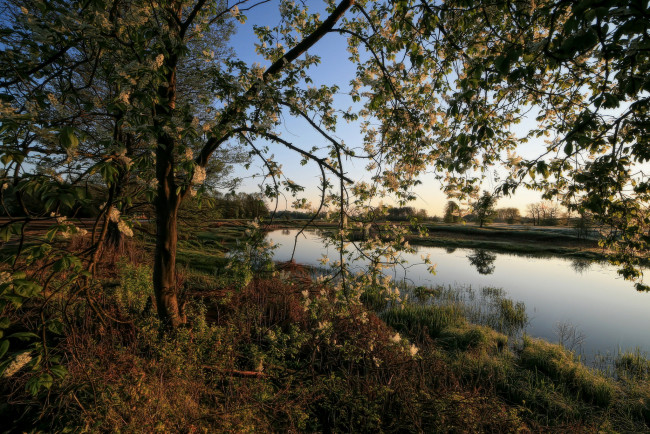 Обои картинки фото природа, реки, озера, лес, река