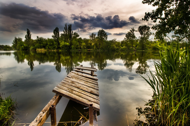 Обои картинки фото природа, реки, озера, река, лес