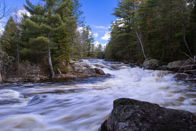 Обои картинки фото природа, реки, озера, река, лес