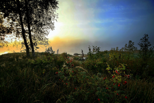 Обои картинки фото природа, восходы, закаты, рассвет