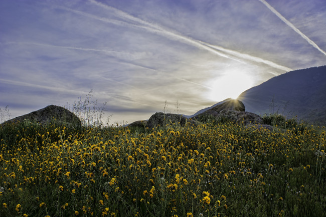 Обои картинки фото природа, восходы, закаты, рассвет