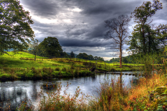 Обои картинки фото природа, реки, озера, река, лес