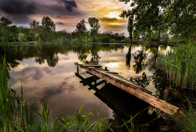 Обои картинки фото природа, реки, озера, река, лес