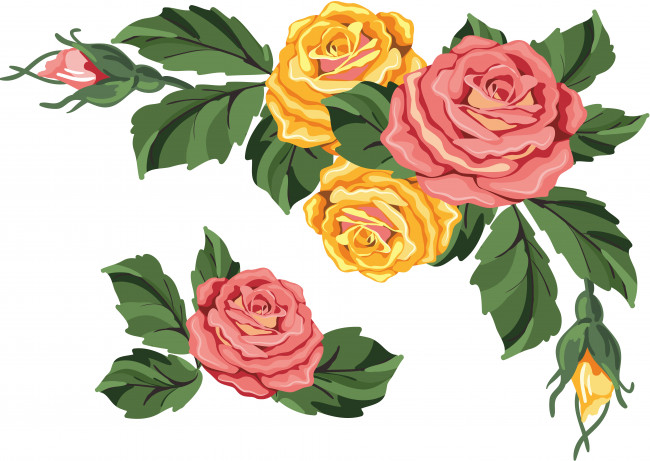 Обои картинки фото векторная графика, цветы , flowers, цветы, лепестки, фон