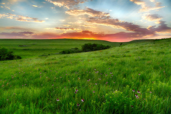 Картинка природа пейзажи простор