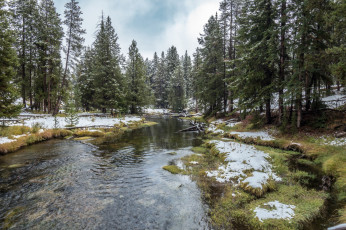 Картинка природа реки озера река лес