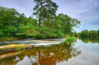 Картинка природа реки озера река лес