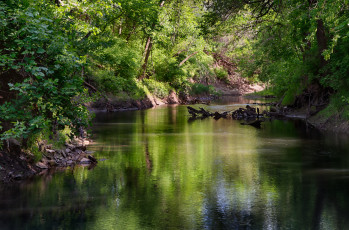 Картинка природа реки озера река лес