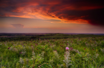 Картинка природа пейзажи простор