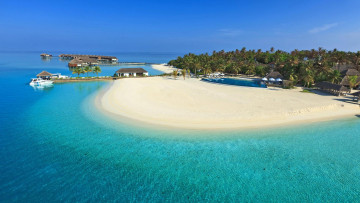 Картинка природа тропики море остров пляж пальмы отдых