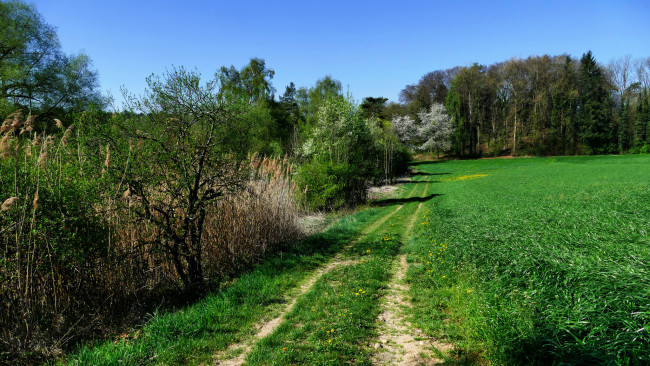 Обои картинки фото природа, дороги, тракт