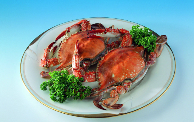 Обои картинки фото еда, рыба,  морепродукты,  суши,  роллы, крабы