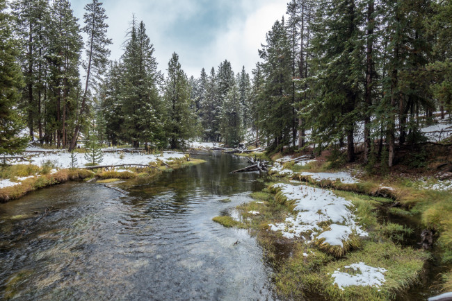 Обои картинки фото природа, реки, озера, река, лес