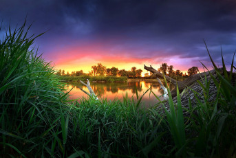 Картинка природа луга простор