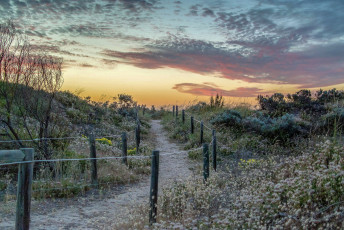 Картинка природа дороги простор