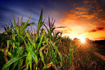 Картинка природа восходы закаты простор